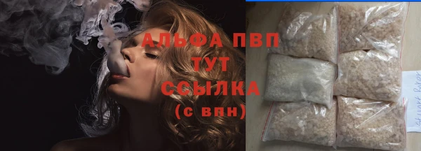прущие крисы Белокуриха