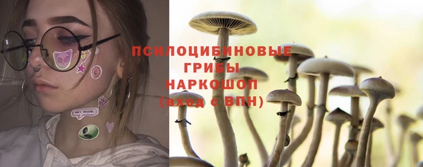 прущие крисы Белокуриха