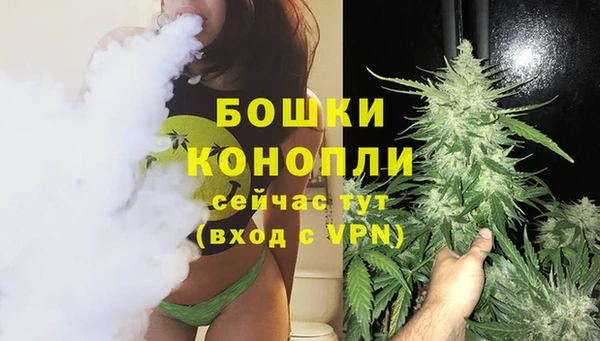 прущие крисы Белокуриха