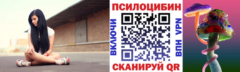 где купить наркоту Вязники Псилоцибиновые грибы прущие грибы
