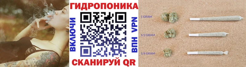 Бошки марихуана THC 21%  Вязники 
